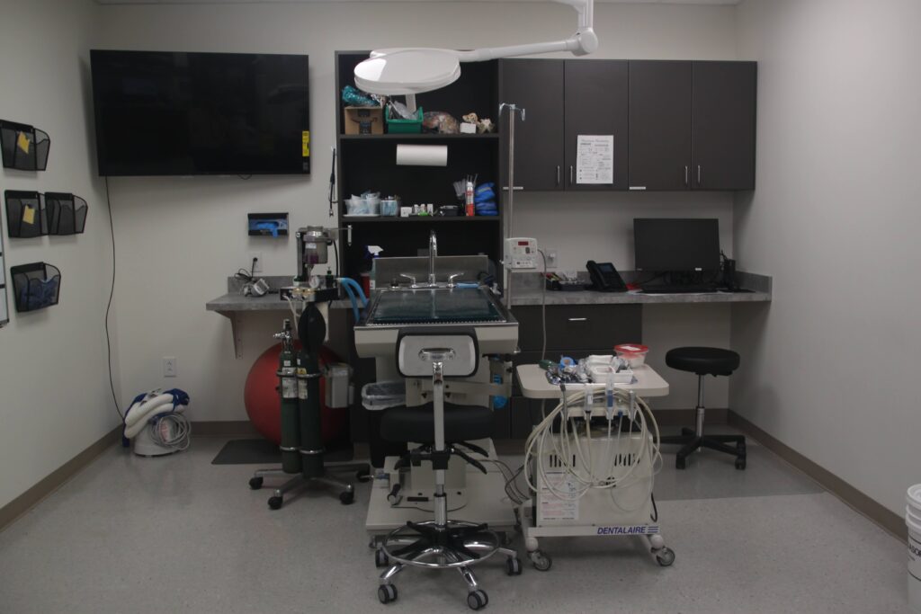 Interior view of dental suite