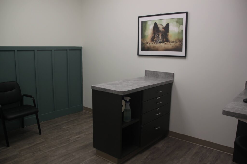 Interior view of exam room