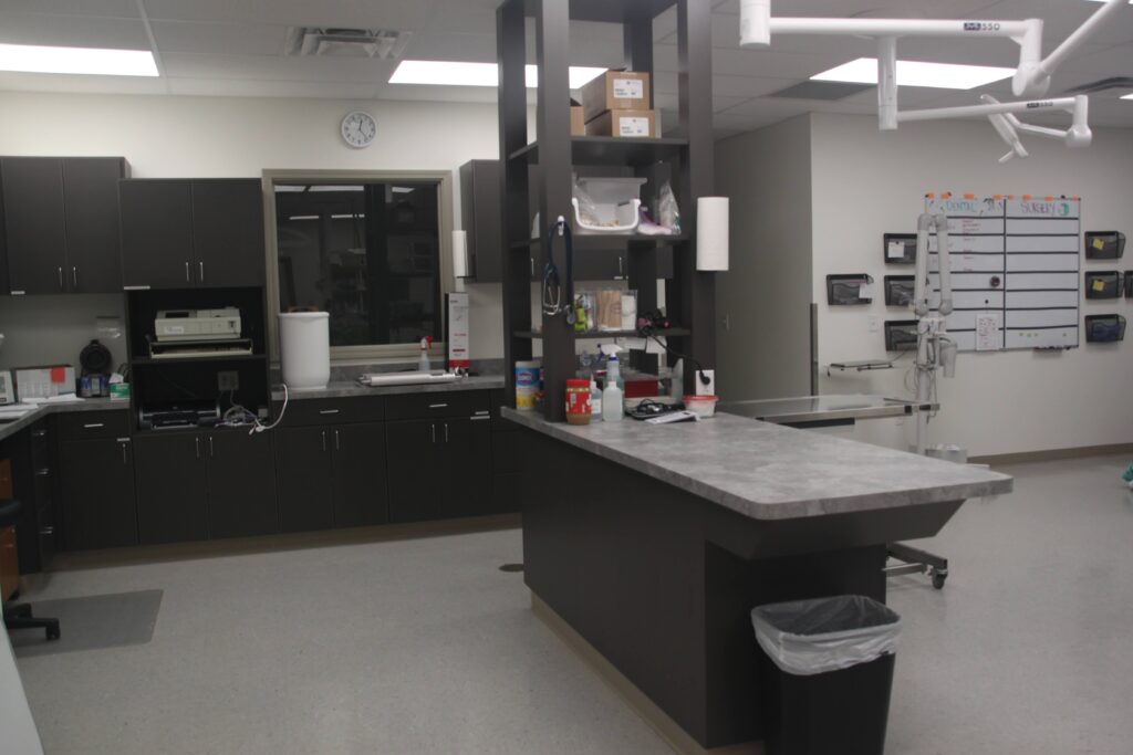 Interior view of treatment room