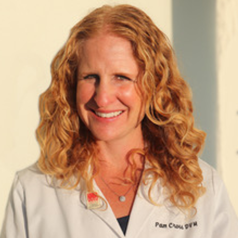Dr. Pamela Cross